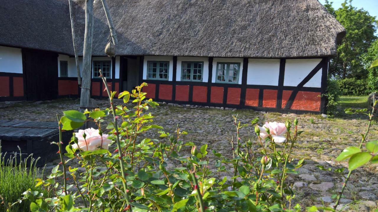Thurup Hus Аснс Екстер'єр фото